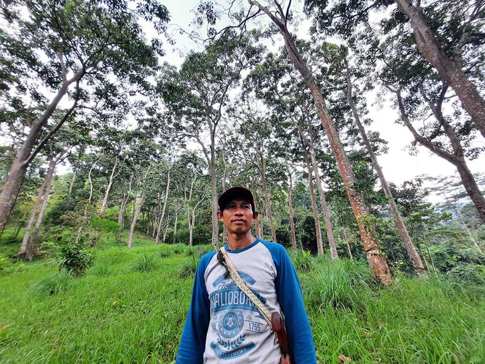 Petani Hutan Desa Bayas Jaya Sekolahkan Anak dari HHBK Kemiri - Yopie Pangkey